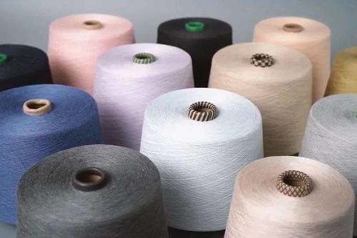 柯橋先行示范之路 瞄準“雙碳”目標，加速綠色轉型推動共同富裕